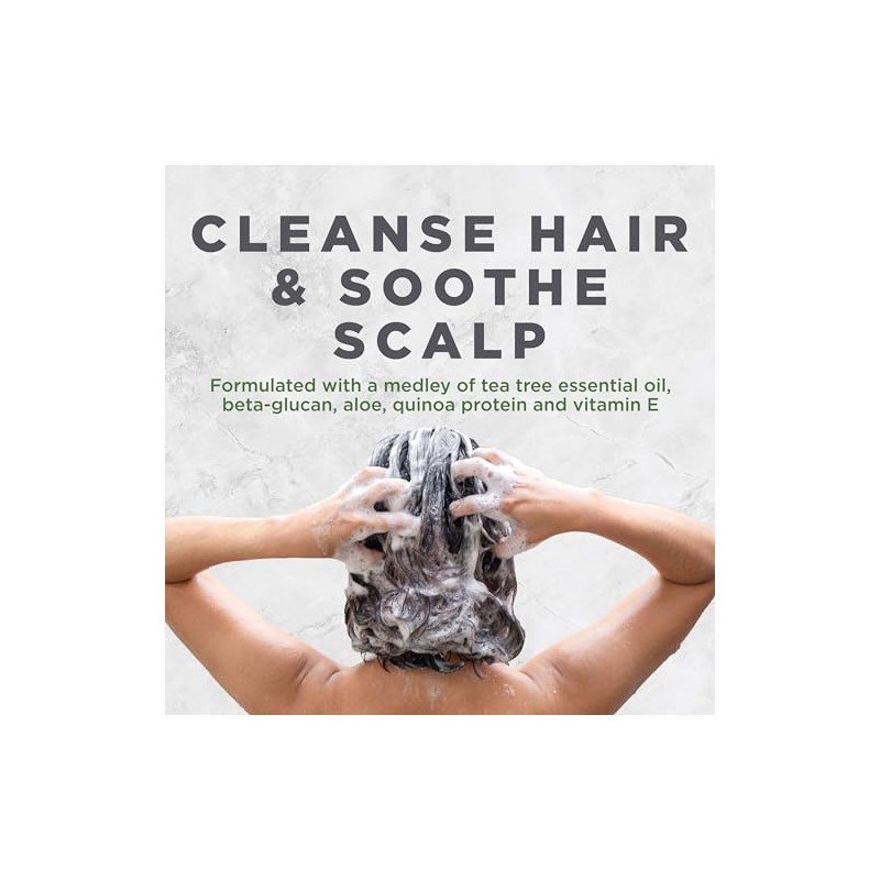 Avalon Organics - Shampoo Con Árbol de Té 352ml