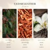 Cedar Leather Fall Collection Diffuser Oils | Aromatherapy Home Fragrance