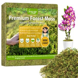 Legigo 3.5OZ Premium Forest Moss for Plants, 4QT Natural Green Sphagnum Moss for Potted Plants, Dried Orchid Moss Potting Mix, Soft Real Moss Decorative for Houseplants Orchids Succulents Reptiles