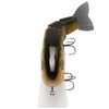 BASSROCK Topwater Fishing Lures for Bass Pike Salmon Floating Swimbait