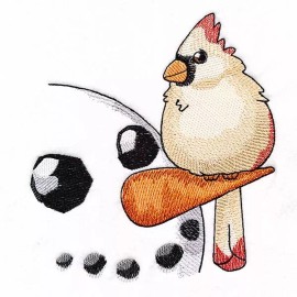 Embroidery By Vicki Christmas WINTER SNOWMAN CARDINAL CHICKADEE BLUE BIRDS QUILT Blocks Embroidered