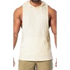 Project Titan Men's Icon Cut Off Hoodies Workout Hooded Tank