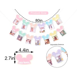 Mouse 12 Months Photo Banner - Pastel Rainbow First Birthday Photo Garland, Happiest Birthday on Earth Banner, Mouse Party Decor, Mouse Monthly Milestone Garland