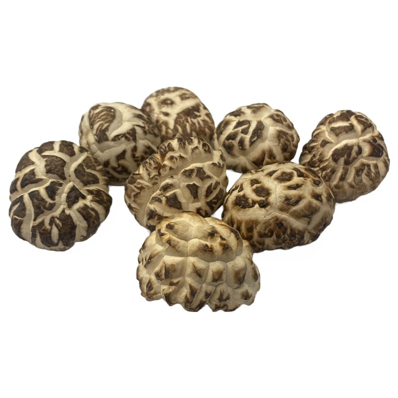 Premium Dried White Flower Shiitake Mushrooms (1 LB)