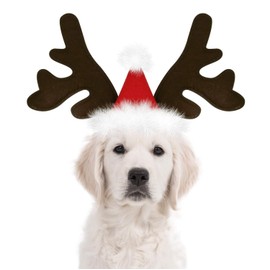 KUDES Dog Christmas Reindeer Antlers Headband Classic Elk Hat Headwear Pet Costumes Accessories