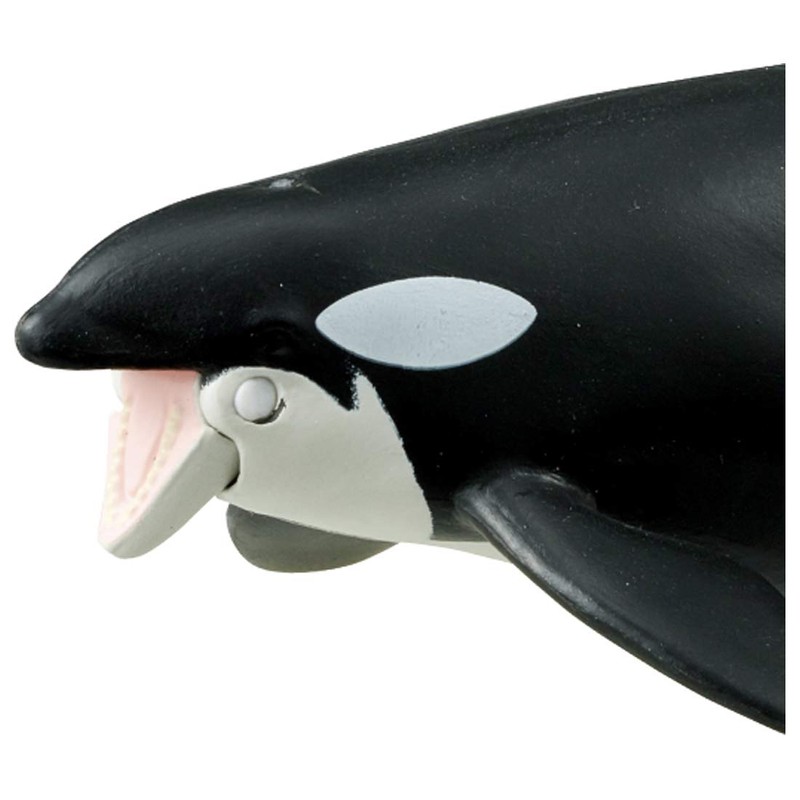 Takara Tomy AL-08 Killer Whale (Floating Ver.) Animal Dinosaur Toy