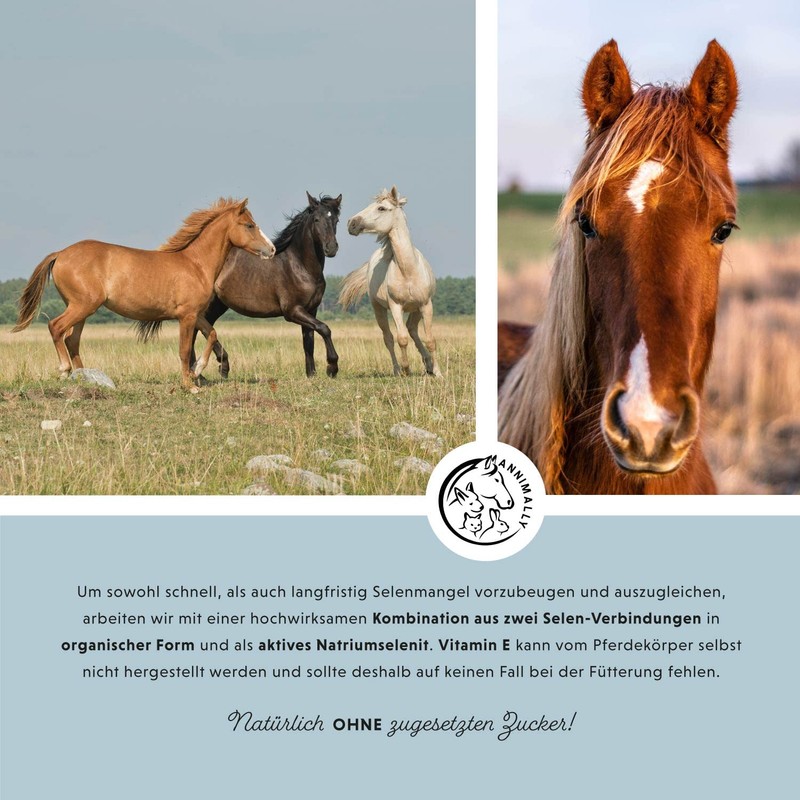 Annimally Selenium, Vitamin E, Lysine Powder for Horses, 800 g,