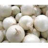 7,000 Southport White Globe Onion Seeds for Planting Long Day