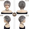 GNIMEGIL Short Grey Elderly Wigs Curly Wigs for White Women