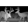 Moultrie Mobile Edge Cellular Trail Camera 2-Pack, Brown