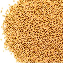 Whole Yellow Mustard Seeds All Natural by Its Delish, (Medium Jar)