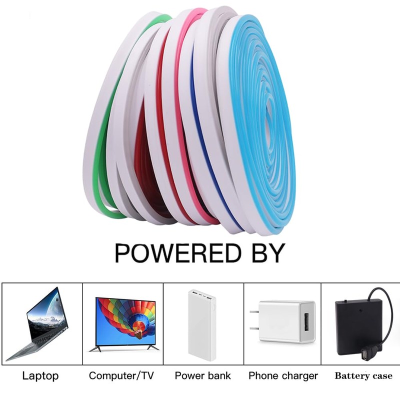 Wisada 5V LED Neon Light with Push Button On/Off [4m,