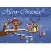 12 Postkarten - Mix Eulen Weihnachten Weihnachtskarten 6 verschiedene Motive