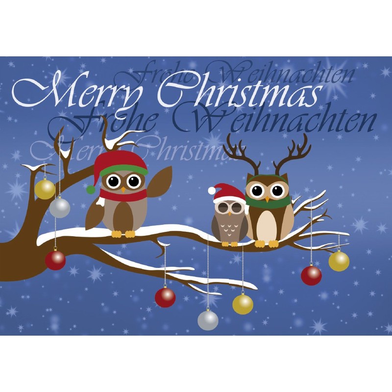 12 Postkarten - Mix Eulen Weihnachten Weihnachtskarten 6 verschiedene Motive