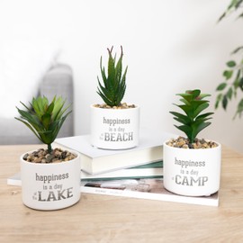Pavilion - Camp - Mini 6" Tall Indoor Faux Fake Artificial Succulent House Plastic Potted Plant Planter Shelf Decor Camper Camping RV Tent Cabin Decoration
