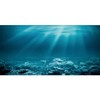 AWERT 36x18 inches Undersea Theme Aquarium Background Sunshine Underwater World