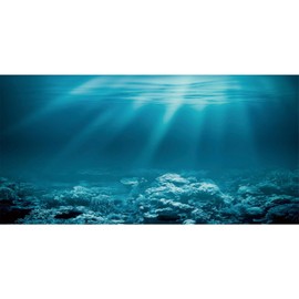 AWERT 36x18 inches Undersea Theme Aquarium Background Sunshine Underwater World Fish Tank Background Vinyl