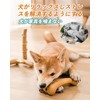 VISKS Dog Toy, Made of Pine Fiber, Durable Deer Antler