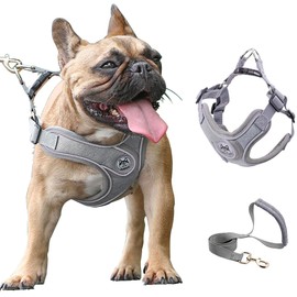 Puppy Harness and Leash Set,No Pull Adjustable Step in Soft Mesh Vest Harness,Easy Walk Reflective Pet Harness with Padded Handle for Walking Training Small Medium Large Dogs and Cats (Grey, XS)