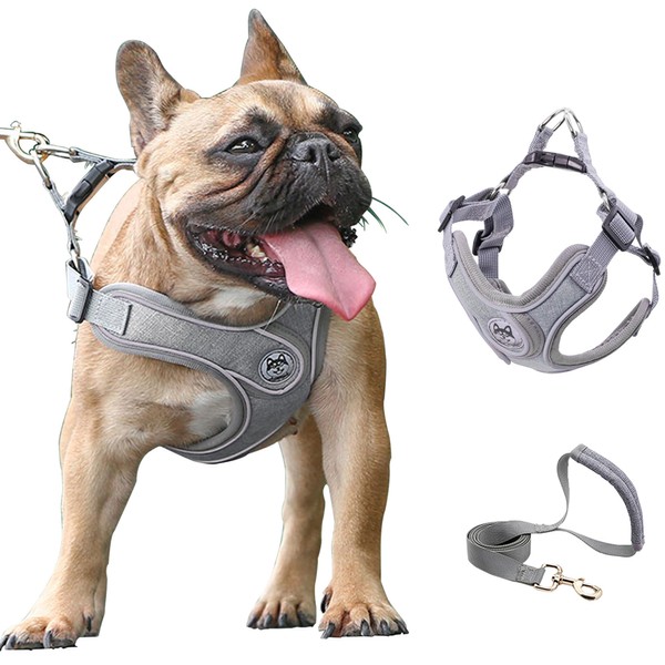 Puppy Harness and Leash Set,No Pull Adjustable Step in Soft