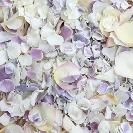 Petals and Roses Freeze Dried Hydrangea & Rose Petal Confetti | Natural & Biodegradable for Weddings, Vintage Mix, 1 Litre