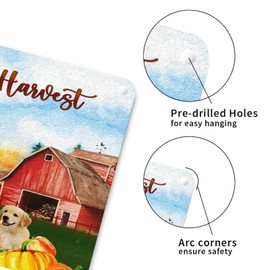 Give Thanks Thanksgiving Wall Art Decor Metal Sign Shiba Inu Metal Art Sign Fall Pumpkin Farm Dog Happy Harvest Retro Metal Wall Hanging Sign for Front Porch Laundry Room 10x10in