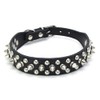 Dog Collar, Studs, Wild Spikes, 5 Holes, Adjustable, Small, Medium,