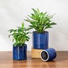 vancasso Ceramic Plant Pots, 4.25+5.25+6.25 Inch Planter Pot with Drainage