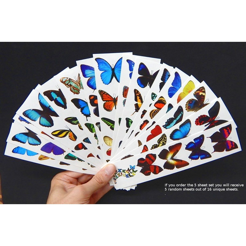 Colorful Temporary Butterfly Tattoos - 5 Sheets - by Butterfly