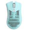 Wireless Mouse Hollow Charging Gaming Mice RGB Lighting Effect Computer