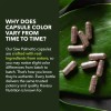 Havasu Nutrition Saw Palmetto 500mg 100 Cápsulas Vegan