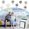 LINNIW TZ-K2 Replacement Filter Compatible with ToLife Air Purifier TZ-K2,