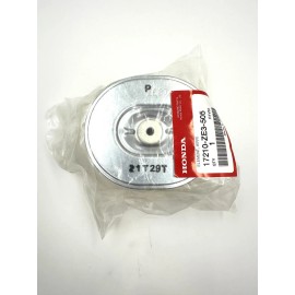 Honda Genuine Honda Air Cleaner Filter Element AFZE30 w Spark Plug BPR5ES GX340 GX390