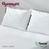 Opossum by Protect-A-Bed Tencel Jersey Waterproof Pillow Protector, Standard Size