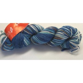 Mananga - Handpainted Superwash Worsted -   6K10 Acadia