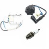 BLYGO Magneto Stator Coil Spark Plug 48cc 70cc 80cc Motorised