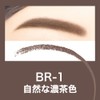 Maybelline BR-1 Fashion Brow Powder-In Pencil N, Includes Remover +