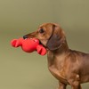Fringe Studio Latex Dog Toy, Snappy and Happy, Pet Shop