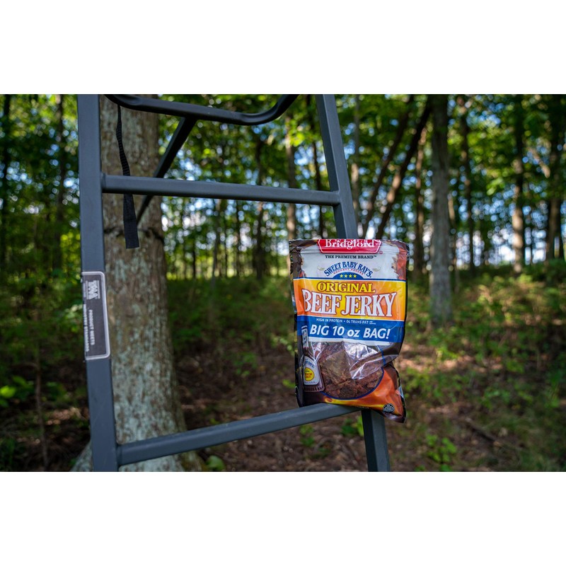 Bridgford Sweet Baby Ray's Original Beef Jerky 10oz, 10 OZ