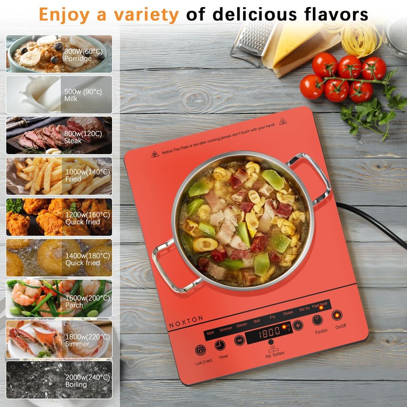 Noxton Portable Electric Stove 110V, 1800W Single Burner Electric Cooktop,