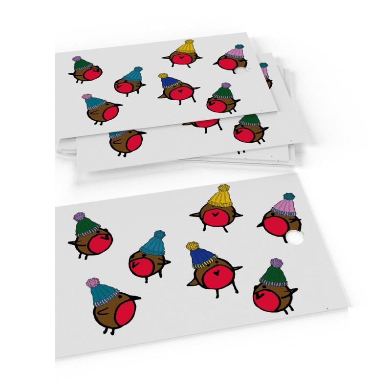 Luxury ECO Xmas Gift Wrap - 6 sheets/tags - Christmas