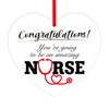 FLYAB 2025 Nursing Graduation Gift - Nurse Week Ornament Gift