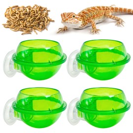 Tfwadmx Chameleon Bowl, Reptile Feeding Feeder,Worm Live Fodder Container, Water Dish Gecko Ledge Suction Cup Feeder Chameleon Supplies Accessories for Gecko Lizard Bearded Snakes Dragon 4 Pcs