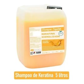 Shampoo Sane Keratina Hidrolizada Cabello Maltratado 5 Lts