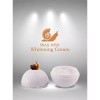 Bidameun Siyoul Crema Para Antiarrugas Y Manchas, Snail Wish Whitening