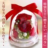 Florist Mann Preserved Flowers, 60th Birthday Celebration, Women, Red, Mother,