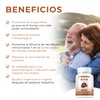 BIO B | Hongo Reishi 60 cápsulas veganas