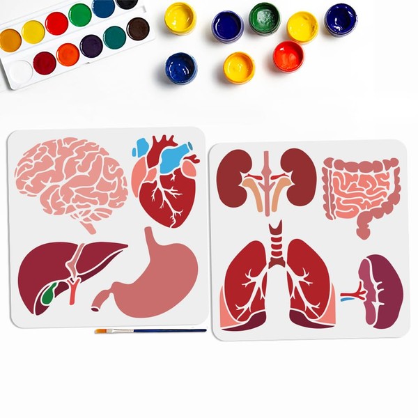 MAYJOYDIY 8 Styles Internal Organs Stencil 11.8×11.8inch Heart Brain Stencils