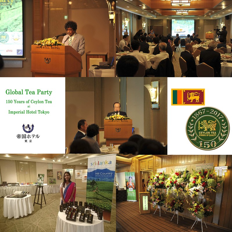 Premium Ginger Tea (20 Bags of Triangle Tea) / Premium