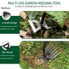 Weed Puller Tool,Crack Weeder Tool, Stainless Steel Crevice Weeding Digger